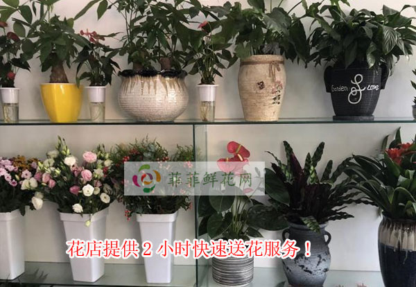 玉门市花店提供玉门市2小时快速送花服务